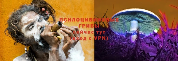 таблы Алзамай