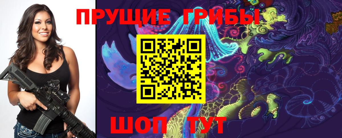 Псилоцибиновые грибы ЛСД  Вход с VPN  наркотики  Димитровград 